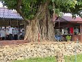 Kanchanaburi P0459 Riviere Kwai
